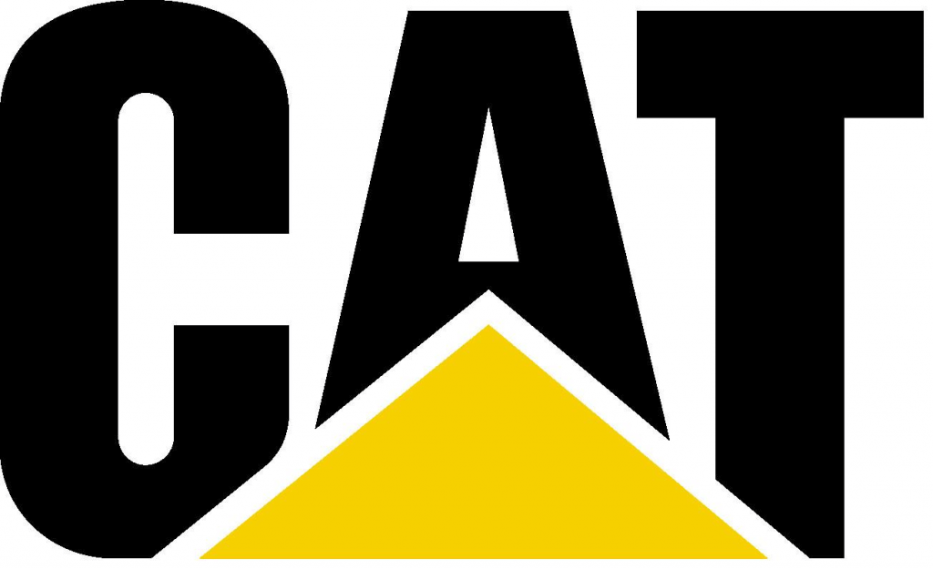 img_diagn/cat.png